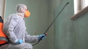 Why You Should Choose Our Mold Remediation Services in Fortuna, CA